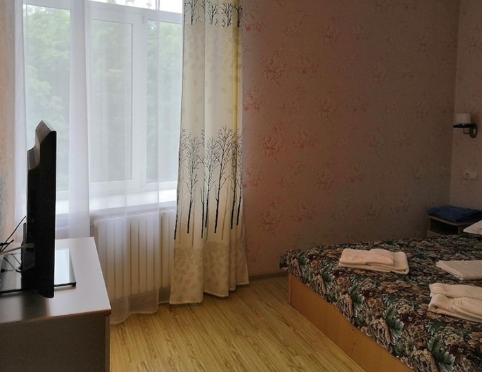 Люкс 2-местный - Санаторий «Океан» Владивосток